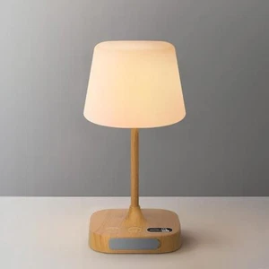 Waterproof Cordless Table Lamp with LED Display, 8000mAh Rechargeable Shower - Picture 1 of 3