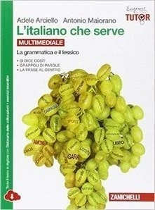 ITALIANO CHE SERVE. LA GRAMMATICA E IL LESSICO. PER LE SCUOLE SUPERIOR - 9788... - Immagine 1 di 1