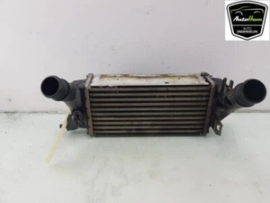 INTERCOOLER Ford Fiesta 7 Hatchback 1.0 EcoBoost 12V 100 (SFJH) 2018 2163154 - Foto 1 di 4
