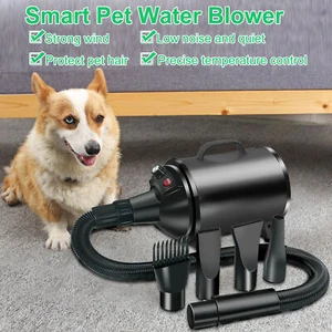 Pet Dog Hair Dryer Blower for Grooming Adjustable Heat Low Noise Quiet Air Flow - Picture 1 of 11