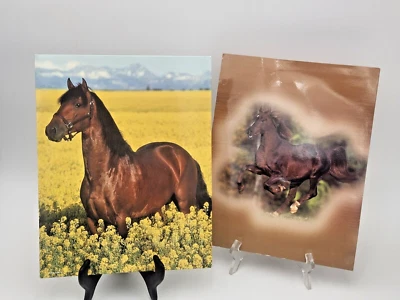 2 carpetas de bolsillo vintage (2) Mead Horse 2002 y 2003 Foto 1 de 4