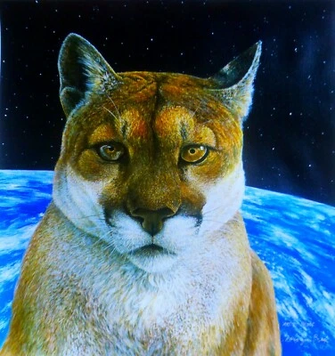 Charles Lynn Chick Bragg Cougar Firmado a Mano Edición Limitada Lienzo Big Cat Art Foto 1 de 3