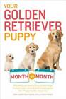 Your Golden Retriever Puppy Month by Month: Everything you need to know a - GOOD