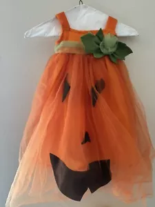 Disfraz de Halloween Pottery Barn Calabaza Naranja - ¡Se ilumina! - Imagen 1 de 11