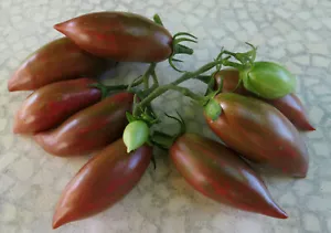 10 graines de tomate rare Purple Smaragd heirloom tomato la saveur très douce - Picture 1 of 6