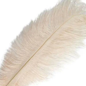 Ostrich Feathers - Plumes - Ivory-Beige - 10 Pcs. - (8 to 10" x 3" Wide)  - Picture 1 of 2