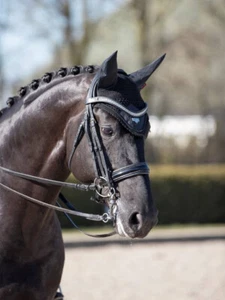 LeMieux Loire Fliegenhaube - Schwarz - Bild 1 von 2