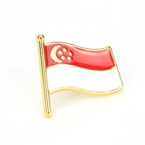 Singapore Flag Badge Country Flag Badge Enamel Pin Brooch National Flag :ti - Picture 1 of 8