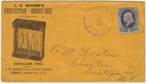 1880 Brief J.E. MOORE Honigdose mit Bild von Klee & Linde Honigdose ~ 703H - Bild 1 von 2