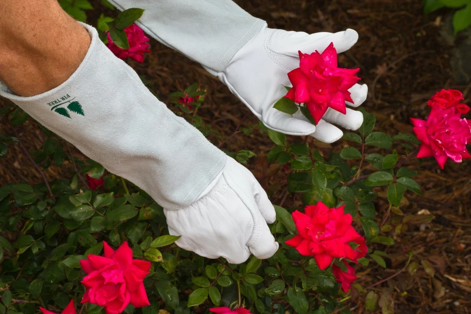 Guantes de cuero rosa jardinero - Guantes de abeto Foto 1 de 4