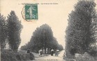 CPA 50 HAUTEVILLE SUR MER LA AVENUES DES CHALETS (pas courante avec animation