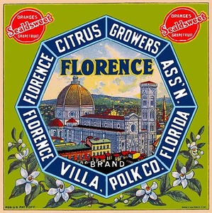 Florida Polk Florencia Villa Venecia Italia Naranja Cítricos Caja de Frutas Estampado en Etiqueta - Imagen 1 de 1