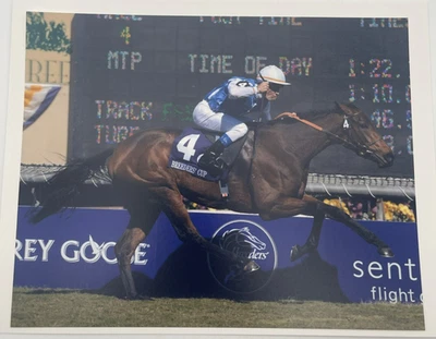 2008 Breeders Cup Grade 1 Mile Goldikova & Olivier Peslier 8x10 Photo - Image 1 of 2