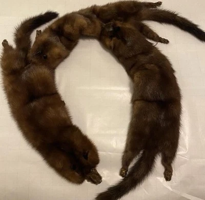 Vintage Mink Fur Collar Stole With 4 Complete Full Body Pelts - Image 1 of 4