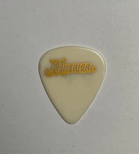 Gerry Beckley America Signature Tour Guitar Pick (A2) - Picture 1 of 2