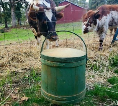 Antique Wood Firkin 15 inch Green ORIGINAL Early Paint Sugar Bucket Wooden Bands - Image 1 of 4