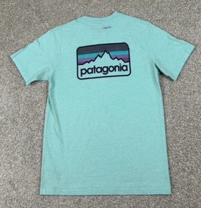 Patagonia T-Shirt Mens Small Green Responsibili-Tee Short Sleeve Graphic Outdoor - Picture 1 of 12