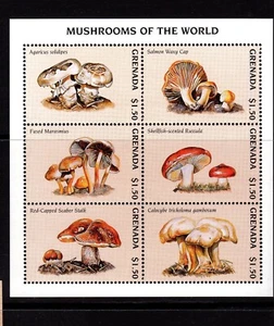 Grenada Funghi Mushroom Pilzen RIF 75 - Picture 1 of 1