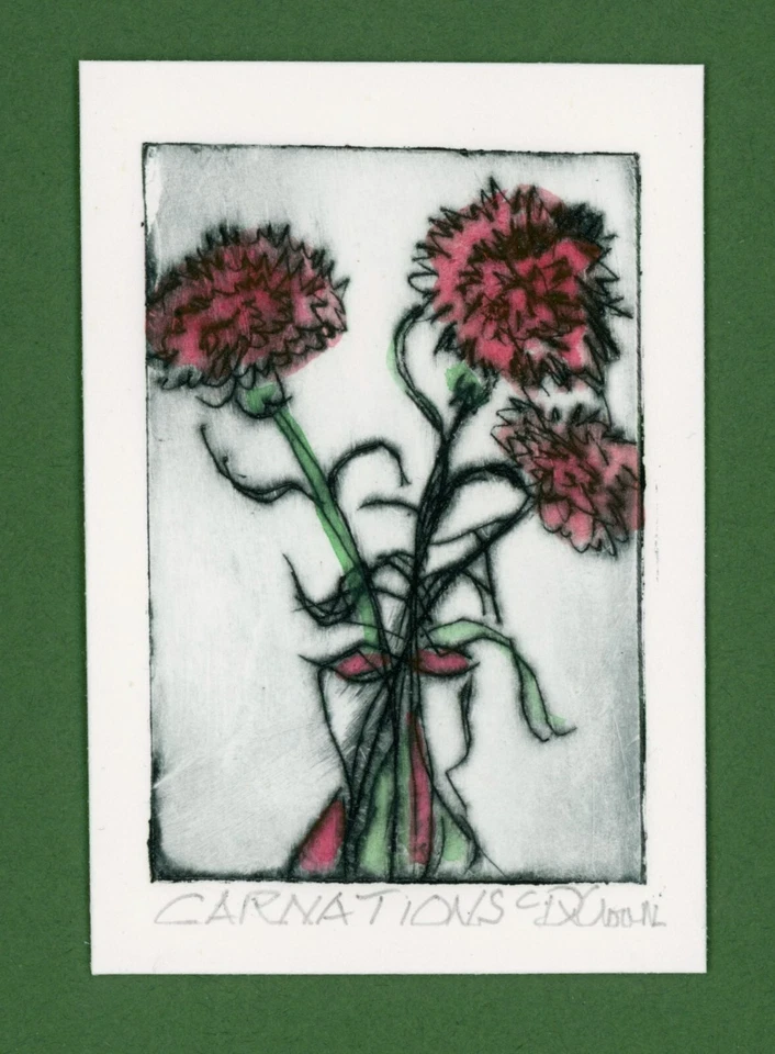 Flores de jardim CARNATIONS. Gravura botânica original em aquarela assinada - Imagem 1 de 1