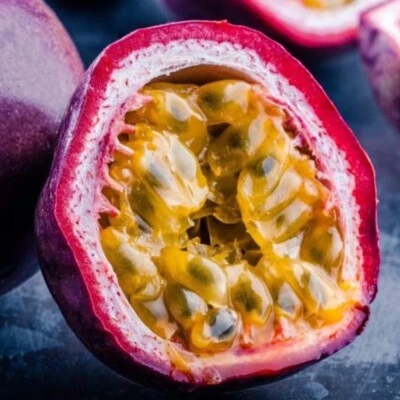 Passion Fruit  Plant “BOUNTY” Super Rare! Limited supply! - Image 1 of 4