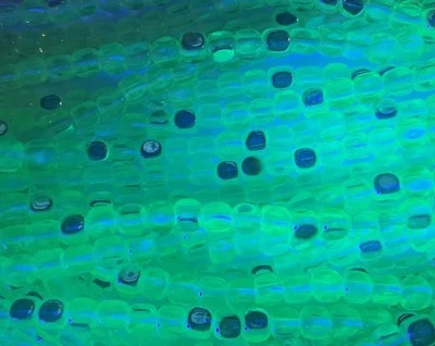 4mm Uranium Tiny Cube Beads AB Yellow 8inch strand - Image 1 of 4