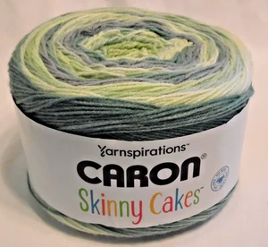 Caron Skinny Kuchen Garn Sweet Mints 8,8 Unzen 795 Yard Acryl Grün Ombre Stricken - Bild 1 von 9