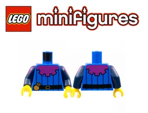 Lego® Troubadour Gaukler Torso Oberkörper Minifigur Castle Medieval Town NEU - Picture 1 of 1