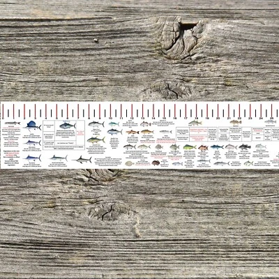 FLORIDA GULF STATE WATERS SALTWATER FISH ID AND REGULATIONS 50 INCH RULER - Image 1 of 4