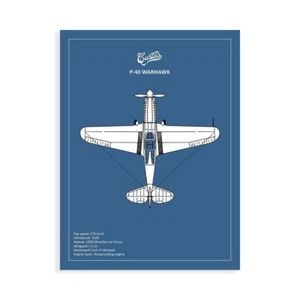 Stampa su Tela su Carta Poster o Quadro Rogan Mark BP P-40 Warhawk - Imagen 1 de 2