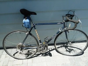 fuji royale 2 bike This bike has new tires and is tuned up /GREAT condition  - Picture 1 of 4