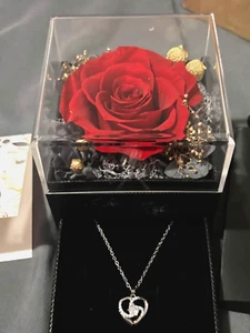 Preserved Real Red Rose W/ Necklace Valentines Day Gifts Girlfriend Mom Grandma - Picture 1 of 9