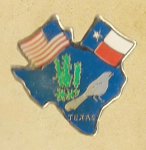 THE STATE OF TEXAS USA MAP FLAGS BIRD OLD PIN - Picture 1 of 1