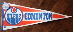 1989 NHL Edmonton Oilers equipo de hockey tamaño completo banderín y alfileres conjunto Mark Messier-- - Imagen 1 de 1