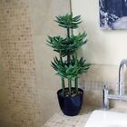 Jungle Artificial Plants Tropical - Cactus And Sansevieria  Realistic