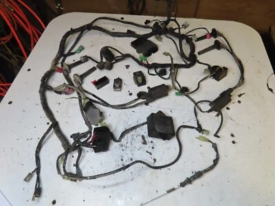 1999 Honda ST1100 Complete Wire Harness - Image 1 of 4
