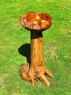 Teak Root Bird Bath - 100cm Tall - Hand Carved, Natural Wood - Image 1 of 4