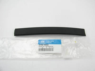 Front Right Passenger Side Roof Rack Moulding Trim OEM For 2001-2006 Santa Fe - Image 1 of 3