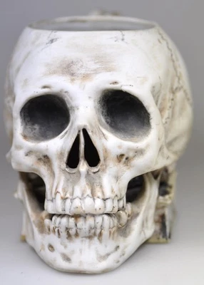 Studentika. Totenkopf-Bierkrug auf Kommersbuch. 1/4 L. Um 1900 - Bild 1 von 3