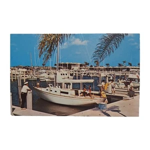 St. Petersburg Yachtbecken Westküste Florida Koppel Farbpostkarte - Bild 1 von 4