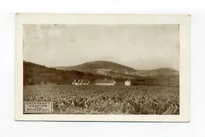 Postal Princeton MA 1912, vista de cultivos, maíz creo, granja, granero, monte - Imagen 1 de 3