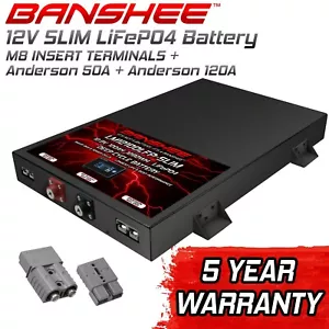 Banshee LiFePO4 12V 100Ah Slim Battery – Lightweight, Powerful, & Versatile! - Picture 1 of 9