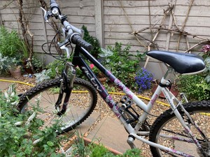 Raleigh Mountain Bike Women Bikes for 