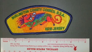 Boy Scout Burlington County Council CSP SAP 6303HH - Picture 1 of 1