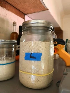 Sour dough starter california foothills 150+ yr old sourdough starter LARRY z - Picture 1 of 12