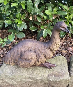 Emu sentado adorno realista estatua jardín escultura decoración grande 44 cm - Imagen 1 de 5