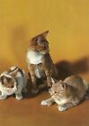 Postcards Cats Cartoline Gatti Cat Catz Chats Katzen Gatos Katten Vintage Age 60
