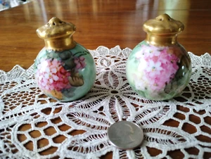 ANTIQUE PORCELAIN SALT PEPPER SET HAND PAINTED FLORAL SIGNED WELLS GOLD TONE TOP - Picture 1 of 5