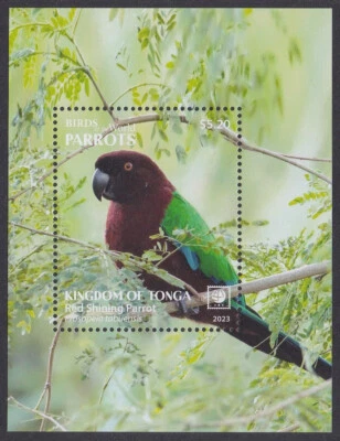 Tonga (2023) Birds of the World, Parrots - S/S, Set/4, MNH - Image 1 of 4