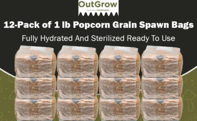 Paquete de 12 palomitas de maíz esterilizadas desove de grano - bolsas de 1 lb con puertos de inyección Foto 1 de 4