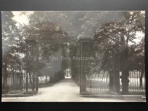 Cambridge: Trinity Avenue, Old RP Postcard Pub by The Photochrome Co - Picture 1 of 2